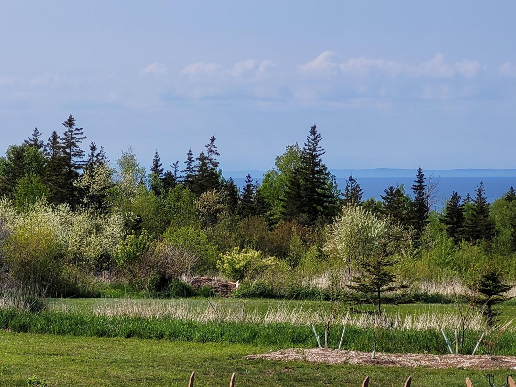 Edelweiss Inn Nova Scotia Middleton Zewnętrze zdjęcie